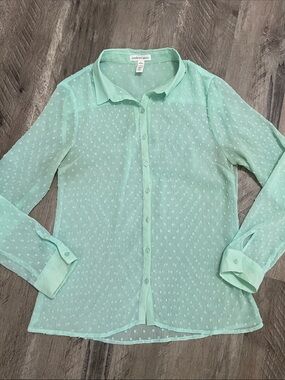 Ambiance Mint Green Sheer Button-Down Blouse